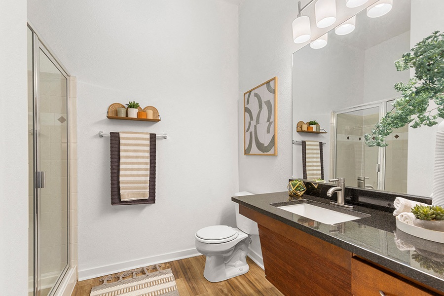 Townhomes in Aurora, CO - The Sanctuary at Tallyns Reach - Bathroom