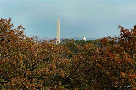 Zoso Flats - Arlington, VA - Downtown DC
