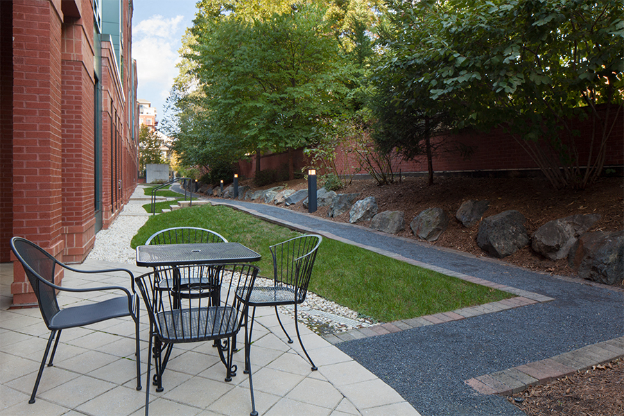 Zoso Flats - dog walk - Arlington VA Rentals