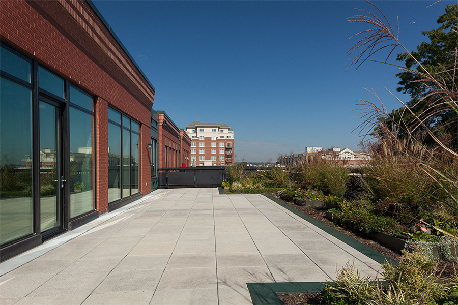 Zoso Flats - terrace - Arlington VA Rentals