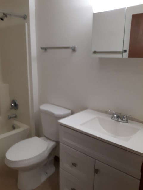 A white toilet sits next to a sink in a small bathroom.