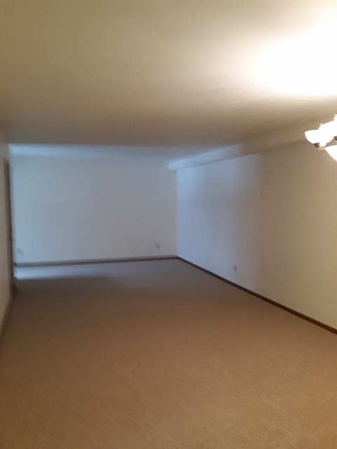 A room with a white wall and a brown carpet.