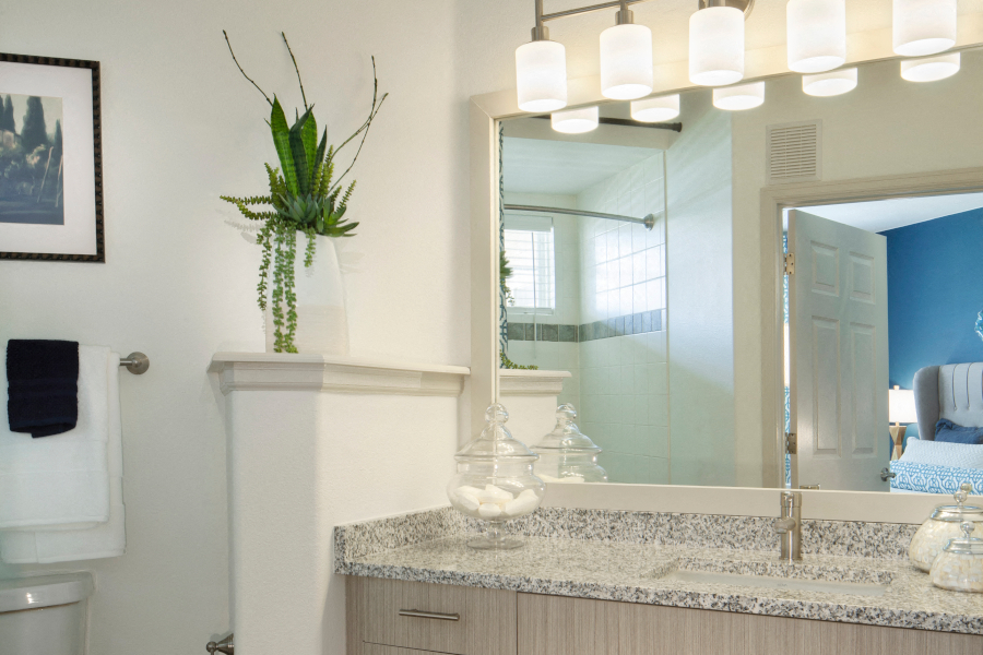 Ridgegate apartments and townhomes - The Meadows At Meridian upgraded bathrooms