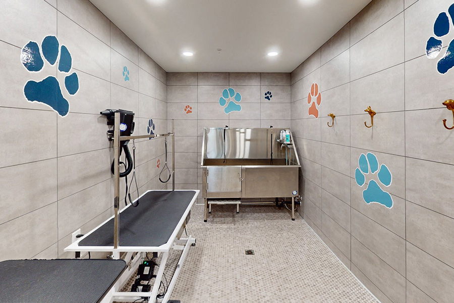 The Meadows at Meridian - Parker, CO - Dog Wash