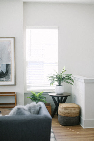 a living room with a couch and a plant and a window