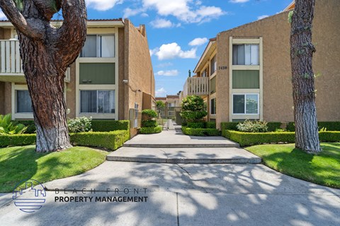 A row of apartment buildings with trees and a walkway in front.