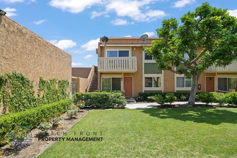 A tree in a yard in front of a building.