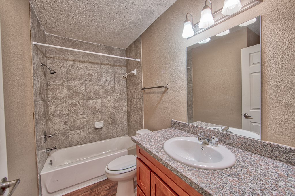 a bathroom with a sink and a shower and a toilet