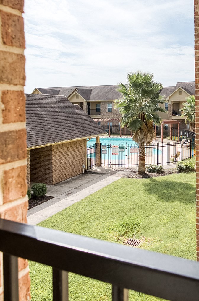 a view of a pool from a balcony with a palm tree