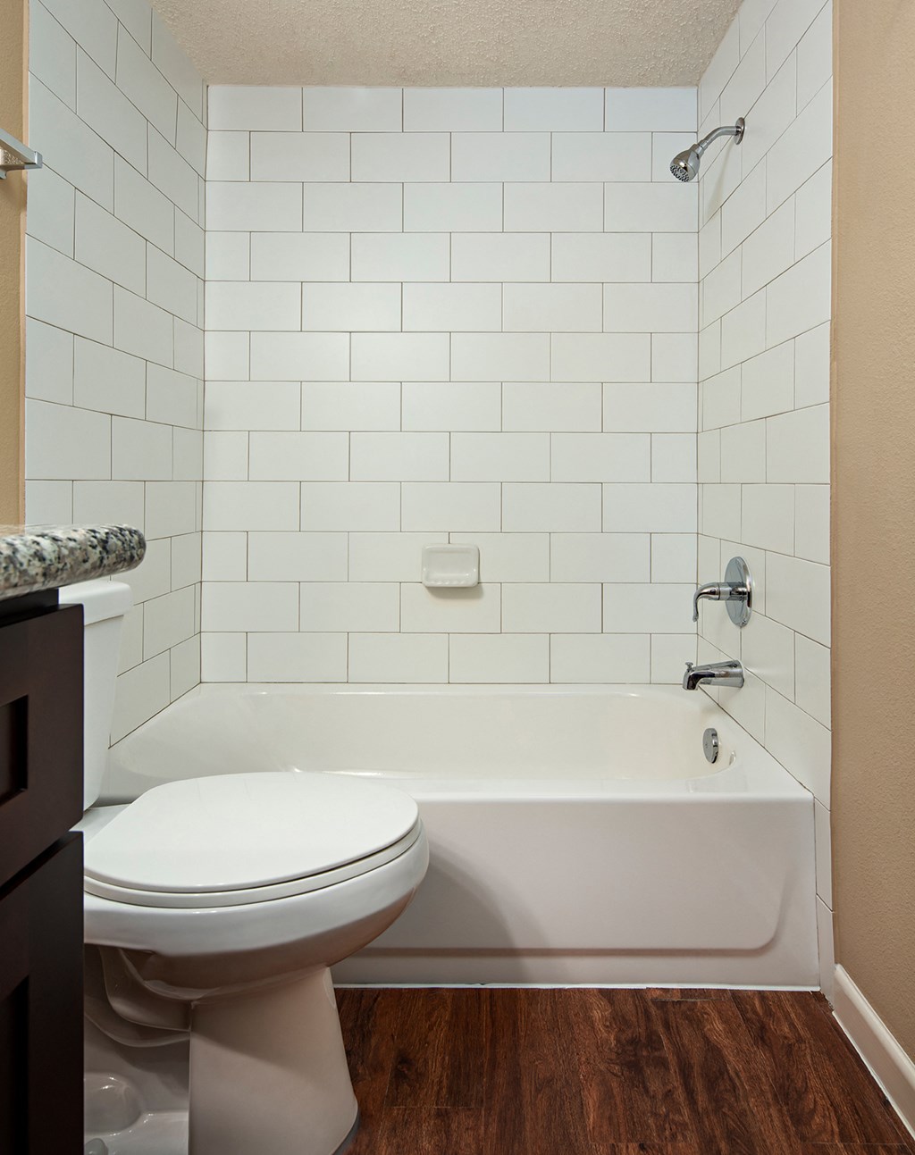 a bathroom with a toilet and a bathtub