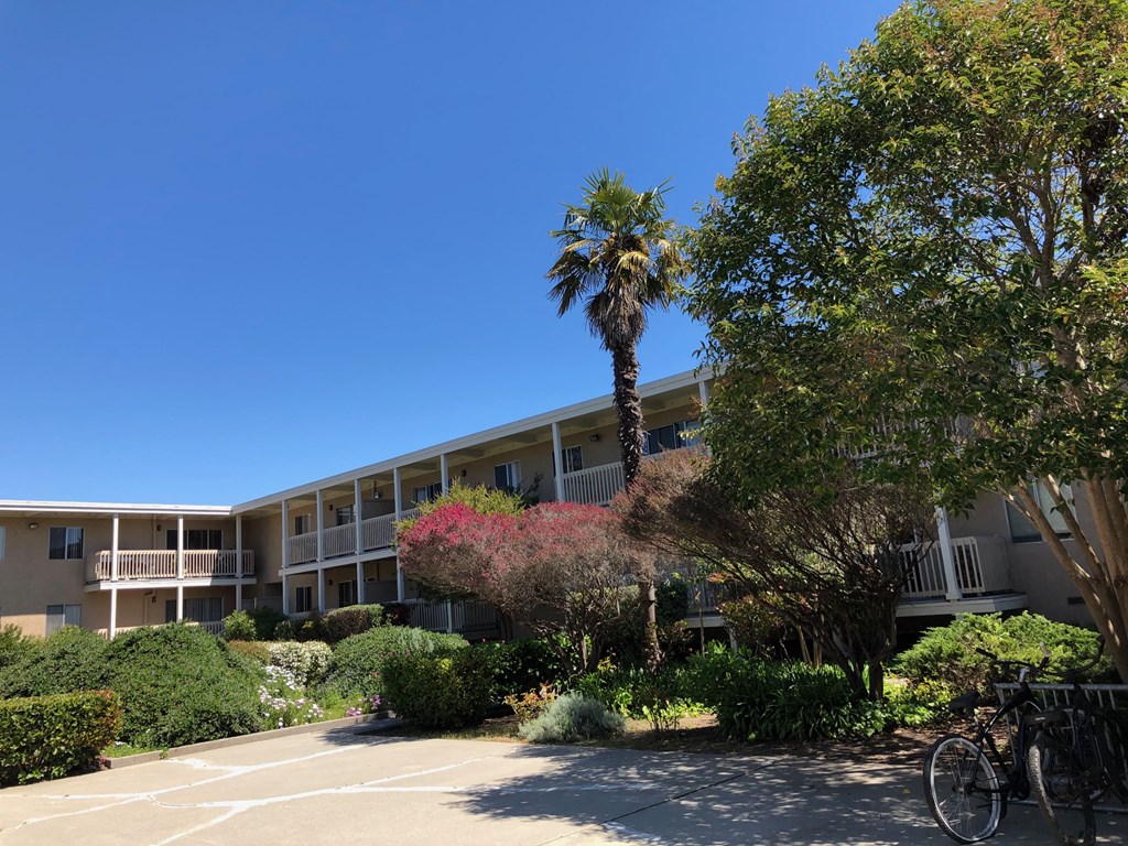 a building with a palm tree and a bike in front of it