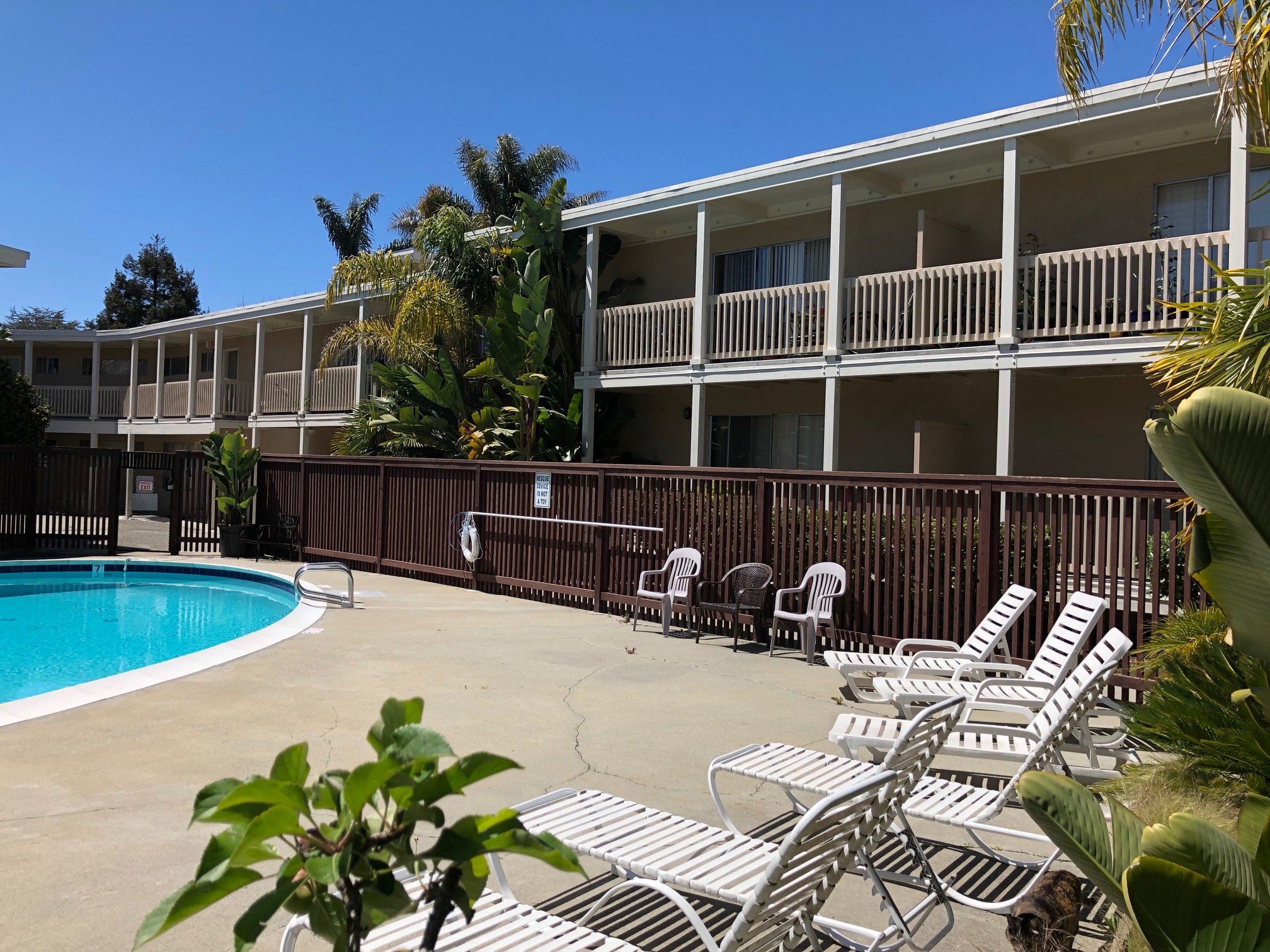 the pool and patio of a hotel with chairs and a swimming pool