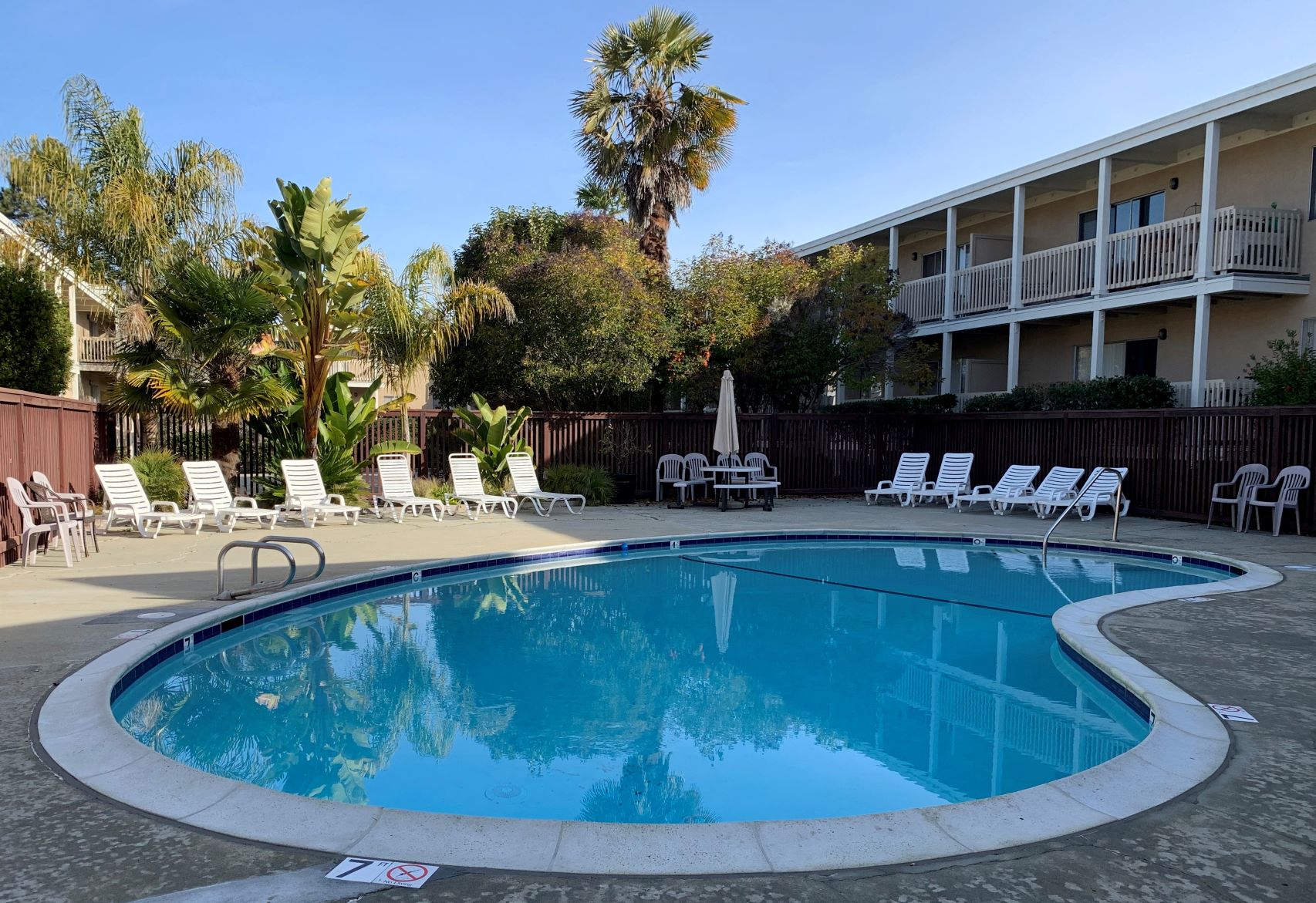 the swimming pool at our hotel in palm springs