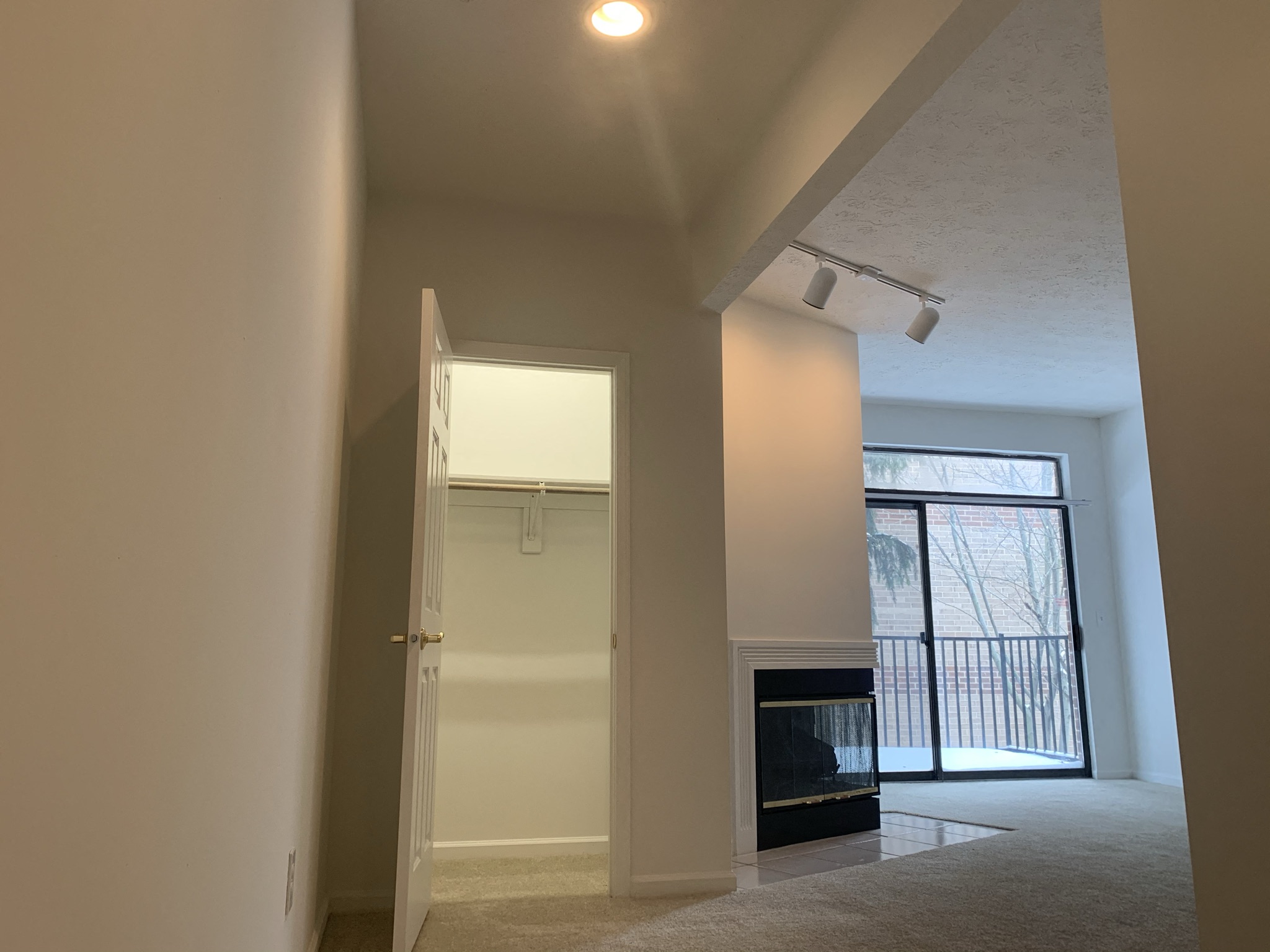 a living room with a fireplace and a door to a closet