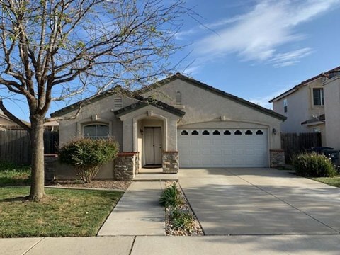 A house with a white garage door and a tree in front.