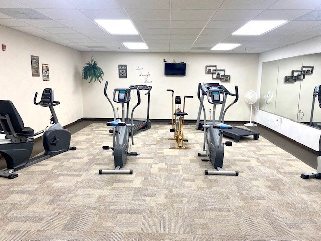 a gym with cardio equipment and weights in a room