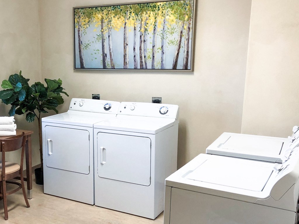 a washer and dryer in a laundry room with a painting on the wall