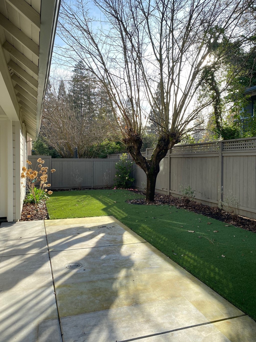 a backyard with a tree and a fence