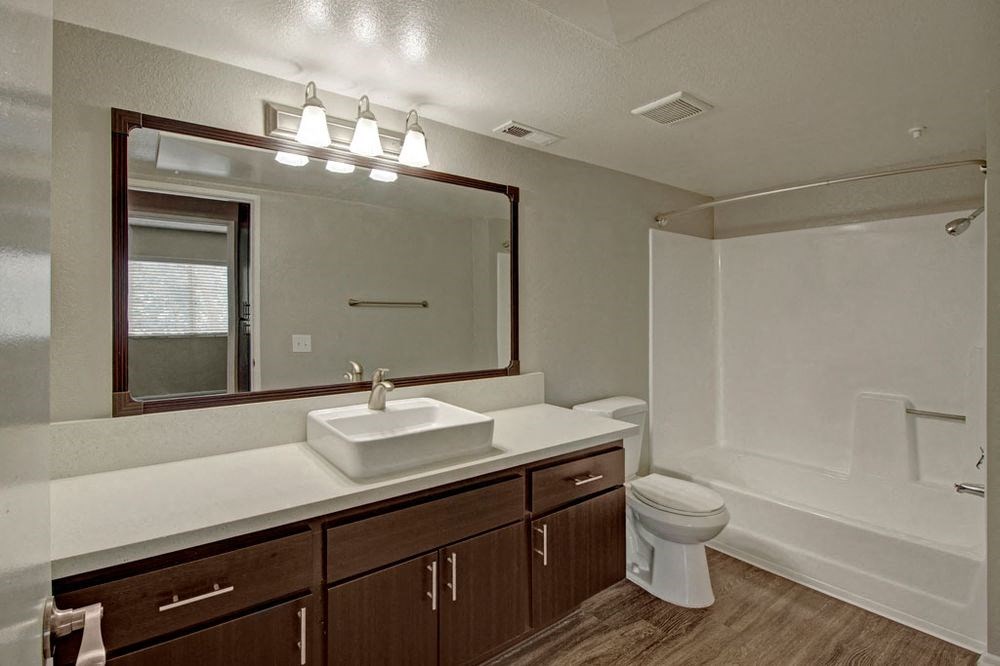 a bathroom with a sink and a toilet and a mirror