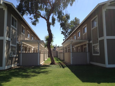 a row of apartments with a tree in the yard