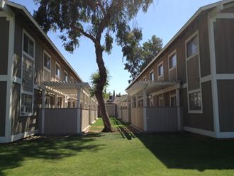a row of apartments with a tree in the yard