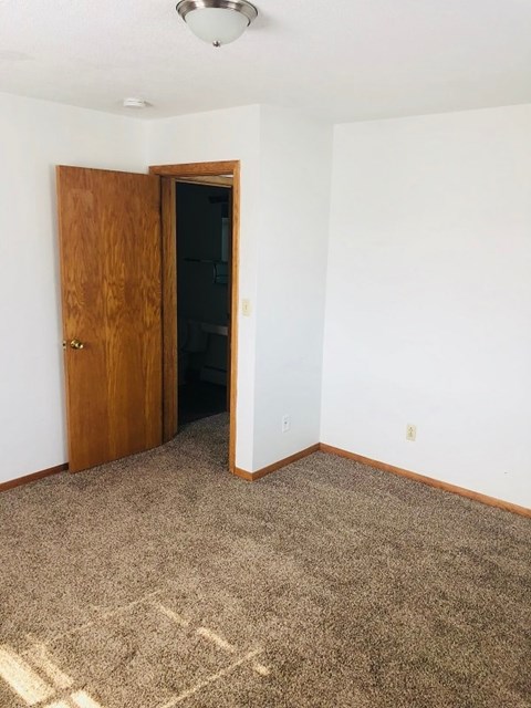 A room with a brown door and carpet.