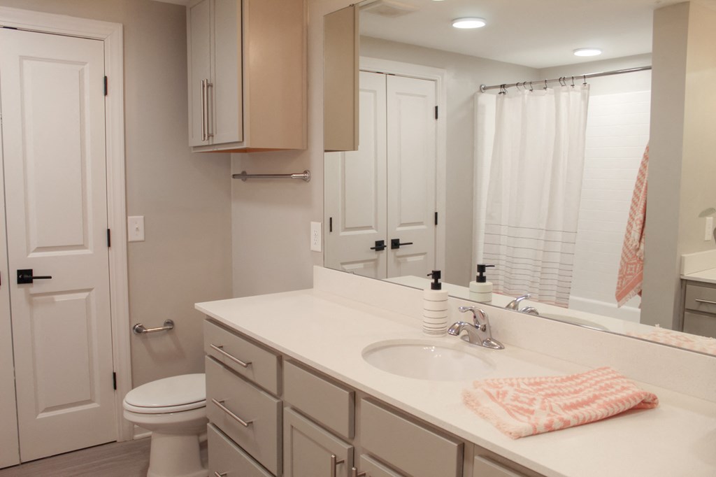 a bathroom with a sink and a toilet and a mirror