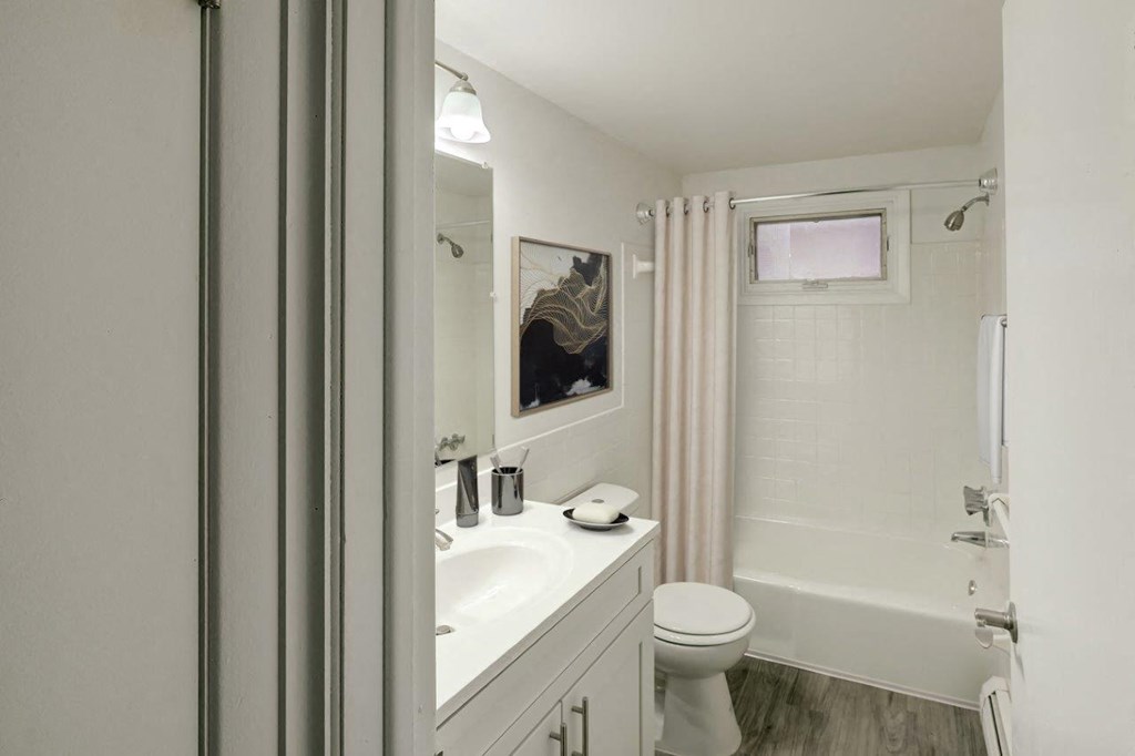 a bathroom with a sink and a toilet and a shower