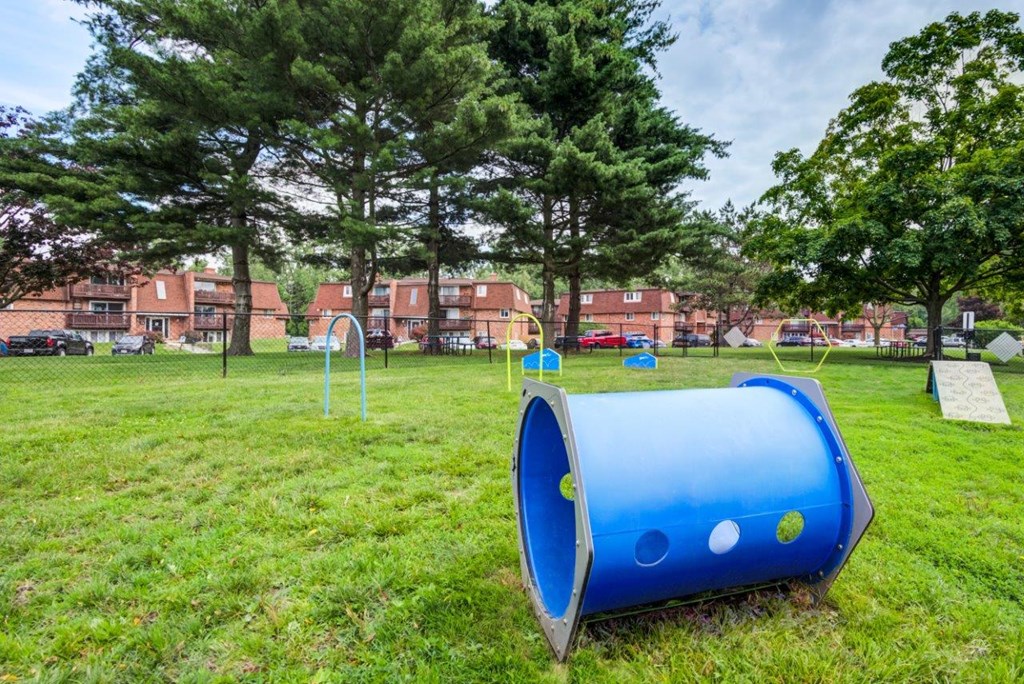 a playground with a blue barrel in the grass