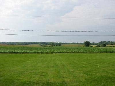 a large green field with power lines above it