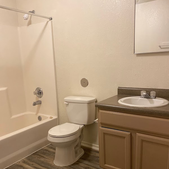 A white toilet sits next to a sink in a bathroom.