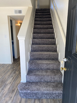 a set of carpeted stairs with a black door