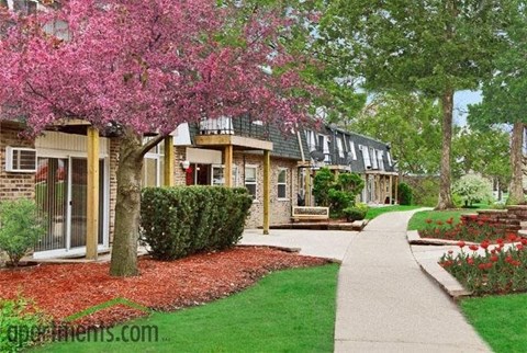 A tree with pink flowers is in front of a building.