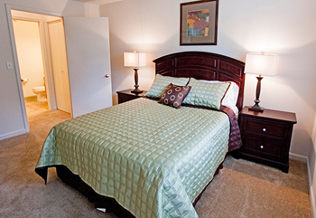 7010 Forest Glen Drive 1-3 Beds Apartment for Rent - Photo Gallery 4