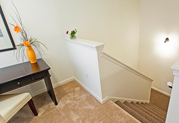 7010 Forest Glen Drive 1-3 Beds Apartment for Rent - Photo Gallery 5