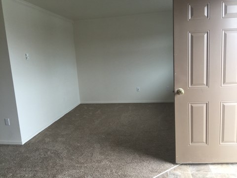 A room with a carpeted floor and a closed door.