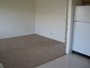 A room with a carpet and a white fridge.