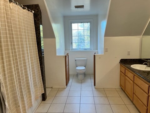 A bathroom with a toilet, sink, and shower curtain.