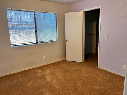 A room with a carpeted floor, a window with blinds, a door, and a wall socket.