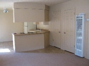 A kitchen area with a counter and a fridge.