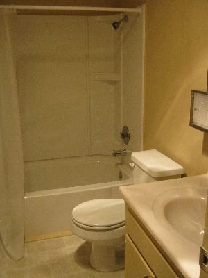 A white toilet sits next to a sink in a bathroom.