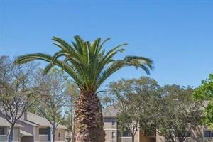 Exterior - Photo Gallery 3