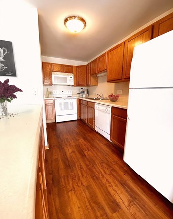 6965 70th Ct Studio-3 Beds Apartment for Rent - Photo Gallery 2