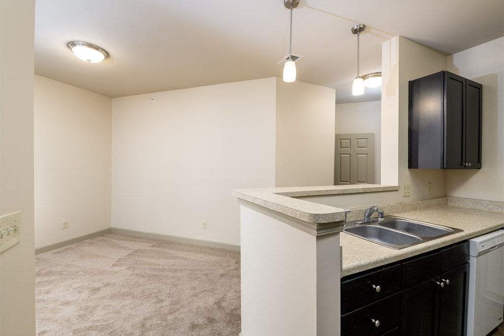 an empty kitchen and living room with a sink and counter top