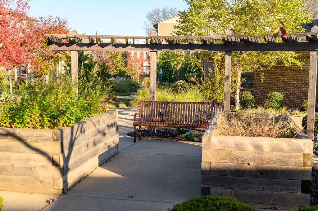 a park bench sitting under a wooden pergola
