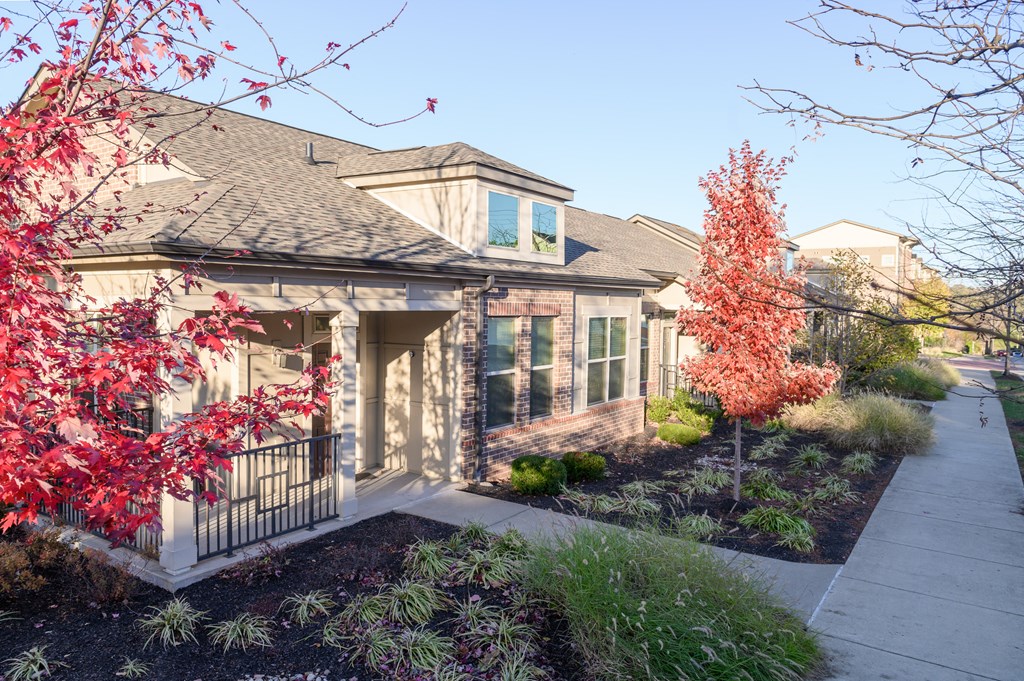 a house with a sidewalk in front of it and a tree with red leaves