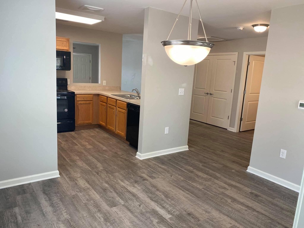 The Village At Dupont Landing Apartments, 519 Spelman College Pass