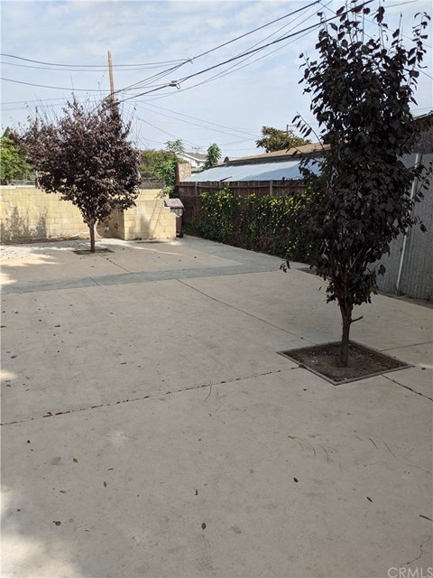an empty street with two trees and a fence