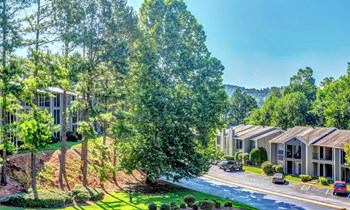 1185 Mountain Creek Road 1-2 Beds Apartment for Rent - Photo Gallery 5