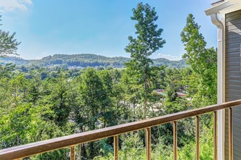 1185 Mountain Creek Road 1-2 Beds Apartment for Rent - Photo Gallery 6